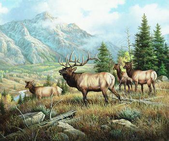 Dafen Oil Painting on canvas -animal014 Dafen Oil Painting on canvas -animal014