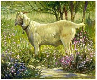 Dafen Oil Painting on canvas -animal021 Dafen Oil Painting on canvas -animal021