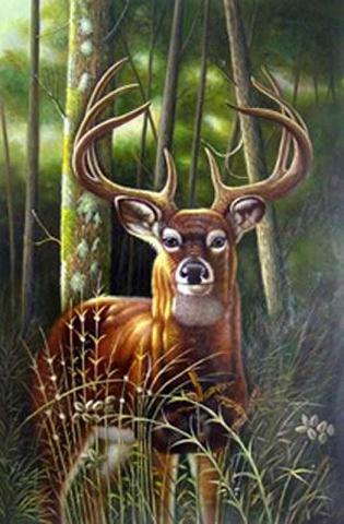 Dafen Oil Painting on canvas -animal025 Dafen Oil Painting on canvas -animal025