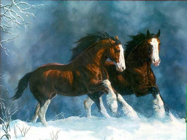 Dafen Oil Painting on canvas -horse012 Dafen Oil Painting on canvas -horse012