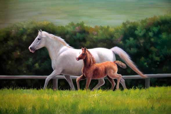 Dafen Oil Painting on canvas -horse033 Dafen Oil Painting on canvas -horse033