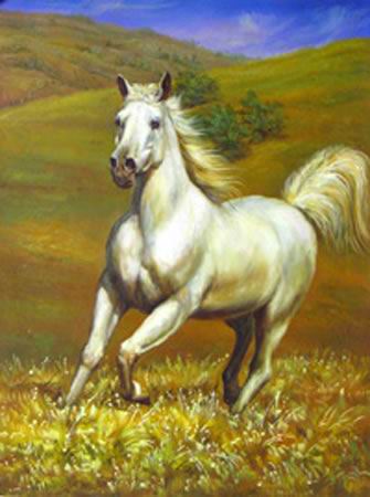 Dafen Oil Painting on canvas -horse035