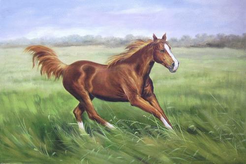 Dafen Oil Painting on canvas -horse037 Dafen Oil Painting on canvas -horse037