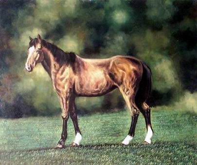 Dafen Oil Painting on canvas -horse038 Dafen Oil Painting on canvas -horse038