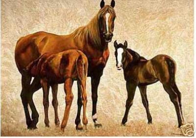 Dafen Oil Painting on canvas -horse039 Dafen Oil Painting on canvas -horse039