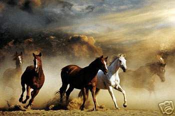 Dafen Oil Painting on canvas -horse045 Dafen Oil Painting on canvas -horse045